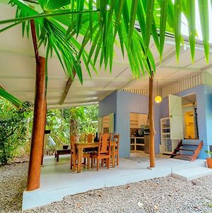 Casa Theia - Comfort Cabin, Caribbean Jungle Beach Villa Puerto Viejo de Talamanca Exterior photo
