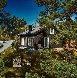 Great Cabin In Hemsedal Wifi Golf Ski Eldorado Villa Exterior photo