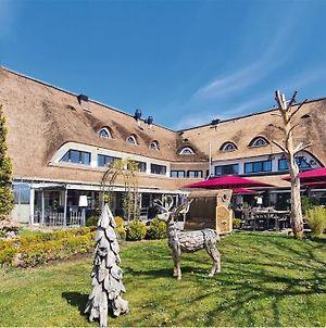 Das Landhotel Wittenbeck Ostseebad Kühlungsborn Exterior photo