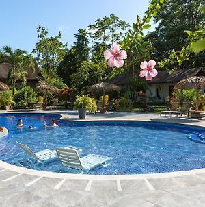Hotel Suizo Loco Lodge & Resort Cahuita Exterior photo