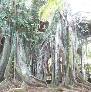 Topos Tree House Villa Cahuita Exterior photo