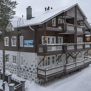 Levikaira Apartments - Alpine Chalets Exterior photo