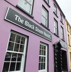 The Black Sheep Hostel Cill Airne Exterior photo