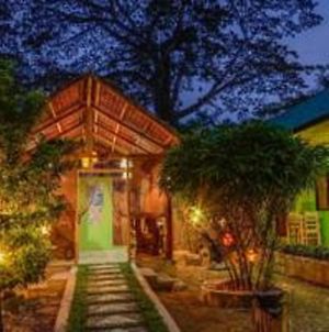 Butterfly Totem Guesthouse Puerto Princesa Exterior photo
