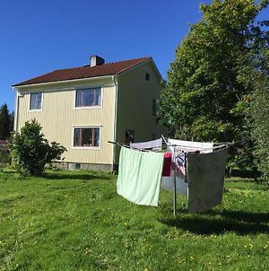 Villa Insikt Pensionat&Kursgård Burträsk Exterior photo