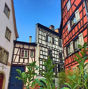 Le Cocon Petite France Lägenhet Strasbourg Exterior photo