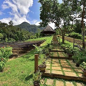 Sheridan Organic Farm And Eco Village Puerto Princesa Exterior photo