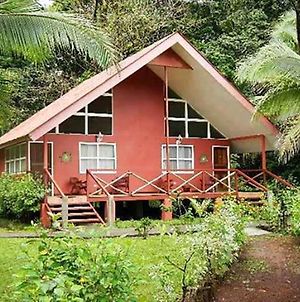 Caribbean Paradise Eco-Lodge Tortuguero Exterior photo