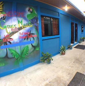 Green Macaw Hostel Tortuguero Exterior photo