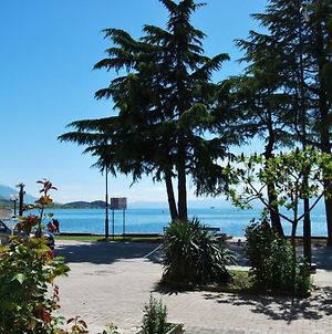 Vila Delfin Hotell Ohrid Exterior photo