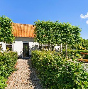 Holiday Home Dijkstelweg 30 - Ouddorp With Terrace And Very Big Garden, Near The Beach And Dunes - Not For Companies Exterior photo