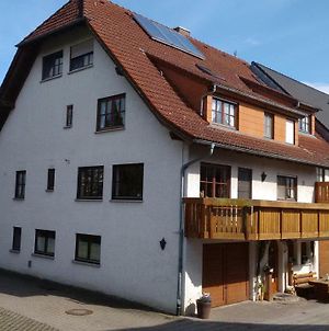 Gastehaus Zur Muhle Dehm Hotell Friedrichshafen Exterior photo