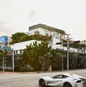 Domio Kaskades Hotell Miami Beach Exterior photo