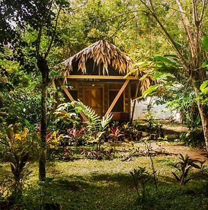 Wildlife Lodge Cahuita Exterior photo